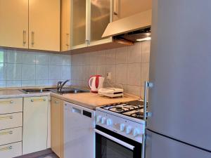 Kuchyňa alebo kuchynka v ubytovaní Apartment Gordana