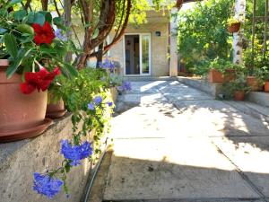 Vonkajšia záhrada v ubytovaní Apartment Gordana