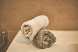 a roll of toilet paper sitting on top of a toilet at Ferienwohnung "Auszeit" in Bernkastel-Kues +28 photos