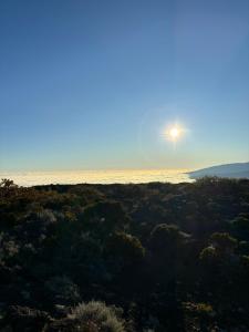 Paesaggio naturale nelle vicinanze dell'appartamento
