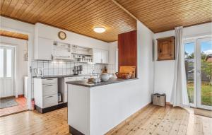 Η κουζίνα ή μικρή κουζίνα στο Gorgeous Home In Læsø With Kitchen