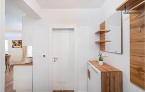 Kuchyň nebo kuchyňský kout v ubytování Pet Friendly Home In Privlaka