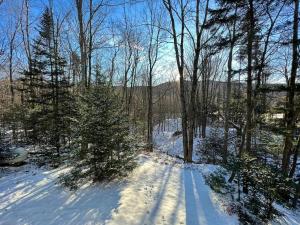 a snow covered path in a forest with trees at Cozy Chalet at Jay Peak in Montgomery Center
