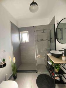 CisnădieMalina Residence Aparthotel的浴室配有淋浴和洗手池 更多69张照片