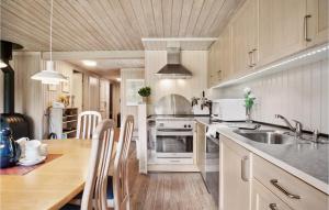 Kuchyň nebo kuchyňský kout v ubytování Holiday Home Fyrrelunden Ks Denmk