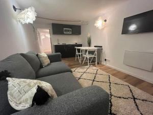 TV a/nebo společenská místnost v ubytování 2 pièces moderne et cosy à Strasbourg