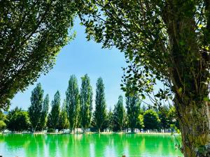 a large lake with trees in the middle at La casa del Sole in Castel di Sangro +8 photos