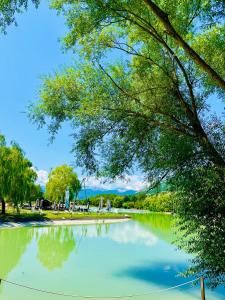 a large pond in a park with a tree at La casa del Sole in Castel di Sangro