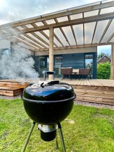 a grill sitting in the grass in a yard at Eden House in Druskininkai