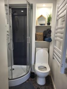 a bathroom with a shower and a white toilet at La Marine - Centre ville - Wifi in Lens +16 photos