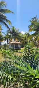 Κήπος έξω από το Karabebae bungalows Remo