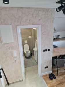 ズラティボールにあるZlatibor Zlatni danの部屋の中にトイレ付きのバスルームがある +15枚の写真