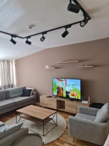 ズラティボールにあるZlatibor Zlatni danのソファと薄型テレビのあるリビングルーム