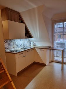 Kuchyň nebo kuchyňský kout v ubytování S-apartment Wiedweg