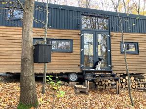 马特劳森蒂姆赖POP Tiny House Mátra的一只狗坐在小屋前的长椅上