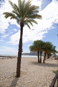a group of palm trees on a sandy beach at El Toro Apartments in Altea