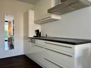 Η κουζίνα ή μικρή κουζίνα στο Studio Apartment direkt am Phoenixsee