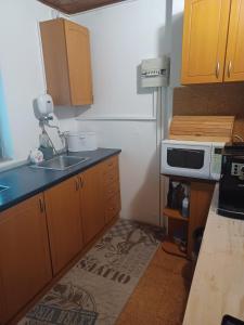a kitchen with a sink and a microwave at Chata Ružín-Rolova Huta in Margecany +7 photos