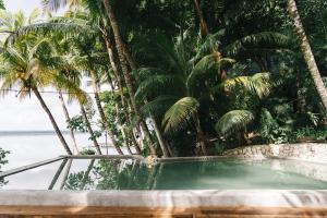 an empty pool in front of palm trees at Hotel Gringo Perdido in El Remate
