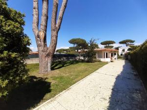 a tree on the side of a driveway at Villino Adele in San Felice Circeo