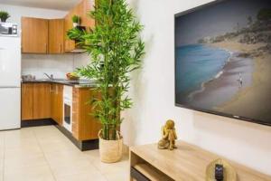 a kitchen with a tv on a wall with a plant at Apartamento Luna in Tías
