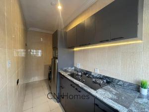 Gallery image of Spacious and Bright 2 Bedroom Fully Serviced Apartment in Lagos