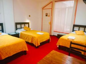 塔克纳Le Prince Tacna的相册照片