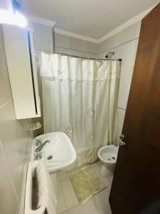 ein Badezimmer mit Waschbecken, Toilette und Dusche in der Unterkunft Departamento en Santa Fe capital in Vuelta del Paraguayo
