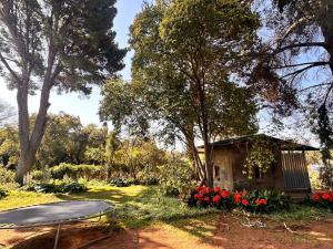 Zahrada ubytování Farm stay at Fennel Cottage on Haldon Estate