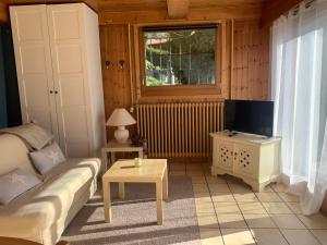 萨莱切Grand Studio cosy的客厅里有一张沙发和一台电视