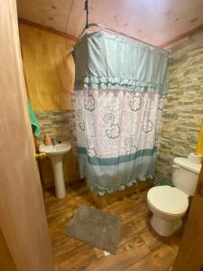 a bathroom with a toilet and a shower curtain at Cabaña la chilotita in Dalcahue