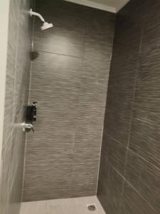 a bathroom with a shower with gray tiles at 2 Double Bed including 1 double sofa bed Studio at Epsom in Auckland