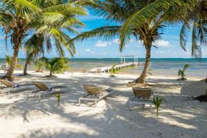 a beach with chairs and palm trees and the ocean at Special Offer Oceanfront Private Estate By Alom in San Pedro