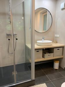 a bathroom with a shower with a sink and a mirror at Grand Studio cosy in Sallanches +10 photos