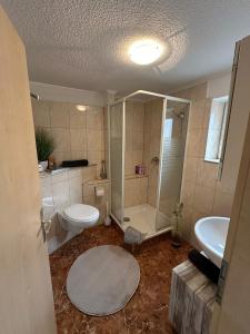 a bathroom with a shower and a toilet and a sink at HappyNest in Friedrichswalde +26 photos