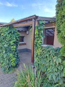 a house with a plant growing on the side of it at HappyNest in Friedrichswalde