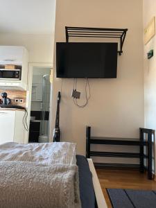 TV a/nebo společenská místnost v ubytování Mini Studio