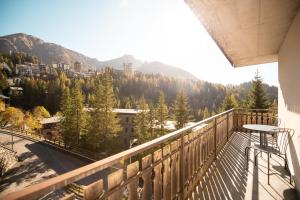 Příroda nedaleko apartmánu + 7 fotografií