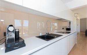 Kuchyň nebo kuchyňský kout v ubytování Pet Friendly Home In Tribunj