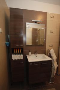 a bathroom with a sink and a mirror at Apartment Vallamar free parking in Zadar