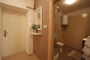 Kúpeľňa v ubytovaní Apartment Vallamar free parking