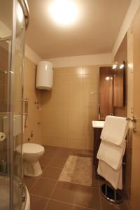 Kúpeľňa v ubytovaní Apartment Vallamar free parking
