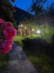 Billede fra billedgalleriet på Casa de vacanta Vidrighin i Rau Sadului