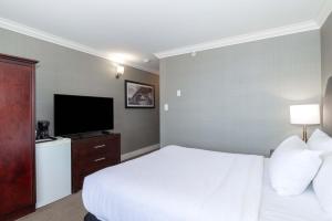 TV a/nebo společenská místnost v ubytování Sandman Hotel Saskatoon