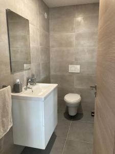 a bathroom with a white sink and a toilet at Joli duplex proche du lac Léman in Messery +22 photos