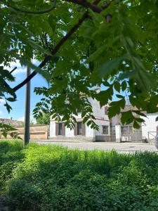 Zahrada ubytování Casa e Giardino Relax in Crema