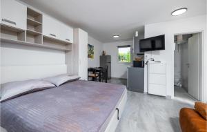 Η κουζίνα ή μικρή κουζίνα στο Gorgeous Home In Peroj With Wifi