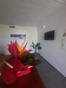 TV a/nebo společenská místnost v ubytování [5 min plage] T2 idéal pour Retraités/Jeune couple