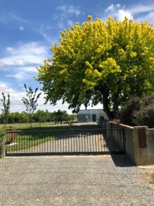 a gate with a tree with yellow flowers behind it at A Rural Retreat cabin with Private bathroom in Twyford +5 photos