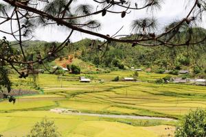 Galeriebild der Unterkunft Lam Ecolodge Mu Cang Chai in Nam Khat + 35 Fotos